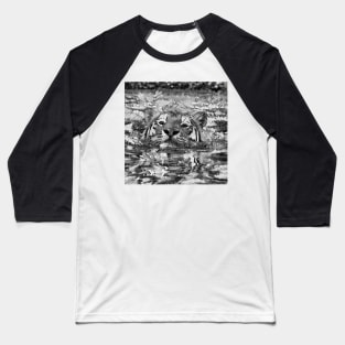 AnimalArtBW Tiger 001 Baseball T-Shirt